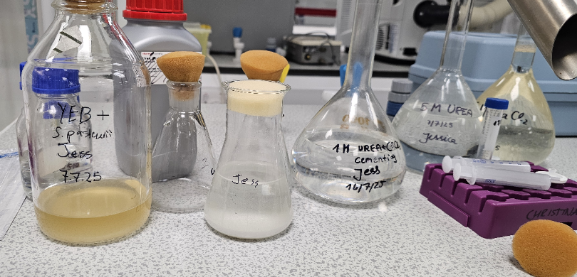 The Impacts and Benefits